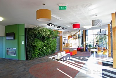 Glass Manifold Cabinet at Rangi Ruru School