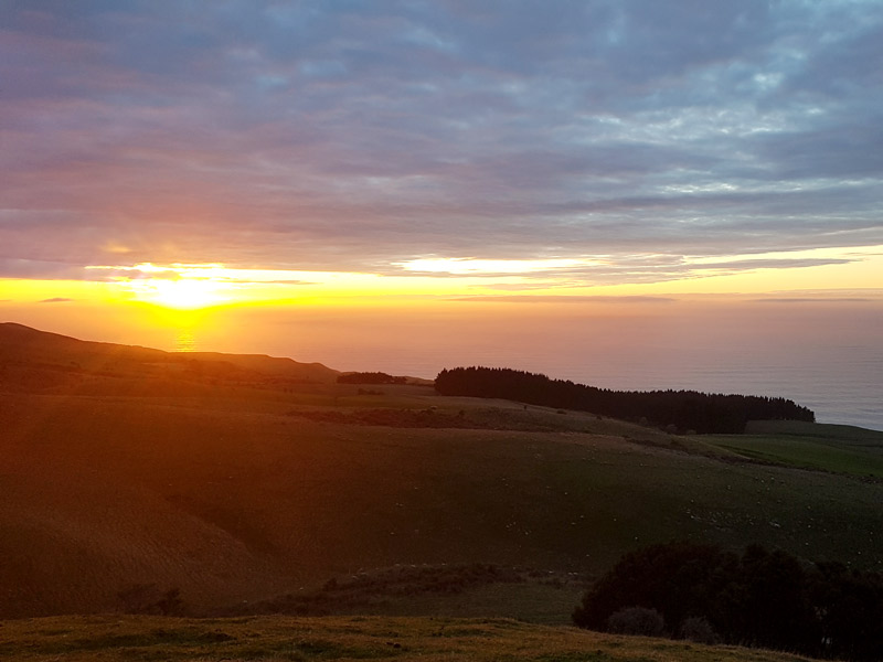 PurePods Views